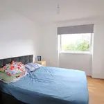 Rent 3 bedroom flat in North East England