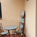 Rent 5 bedroom house of 110 m² in Pisa