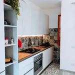 Rent 3 bedroom apartment of 65 m² in Pisa