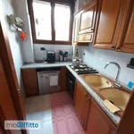 Rent 4 bedroom apartment of 110 m² in Turin