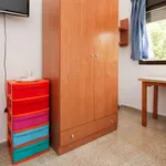 Alquilar 16 dormitorio apartamento en Granada