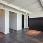 Rent 2 bedroom apartment of 115 m² in Amsterdam