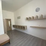 Rent 1 bedroom apartment in Praha - východ