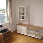 Rent 1 bedroom apartment of 20 m² in Trondheim