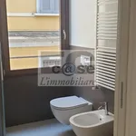 Rent 3 bedroom apartment of 100 m² in Monza