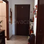 Rent 3 bedroom apartment of 85 m² in Monza