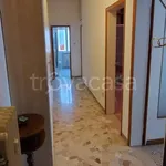 Rent 3 bedroom apartment of 80 m² in Bologna