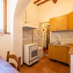 Rent 2 bedroom apartment of 55 m² in San Gimignano