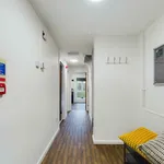 Rent 1 bedroom apartment in Derby