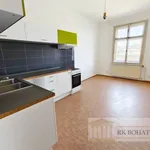 Pronajměte si 4 ložnic/e byt o rozloze 110 m² v Prague