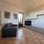 Rent 3 bedroom apartment of 65 m² in Biella