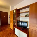 Rent 3 bedroom apartment of 90 m² in Monza