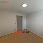 Rent 3 bedroom apartment of 441 m² in Trhový Štěpánov