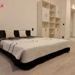 Rent 1 bedroom apartment in Capital City of Prague