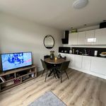 Rent 2 bedroom apartment of 37 m² in Schildersbuurt