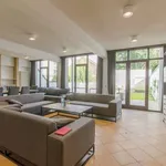 Rent 1 bedroom apartment of 16 m² in brussels