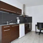 Rent 3 bedroom apartment of 141 m² in Brno