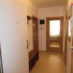 Rent 2 bedroom apartment of 45 m² in Rudná