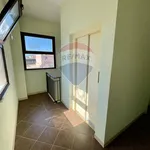 Rent 3 bedroom apartment of 110 m² in Bagheria