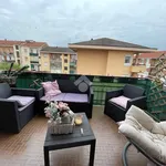 Rent 1 bedroom apartment of 20 m² in Bra