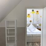 Rent 1 bedroom apartment of 35 m² in Minden