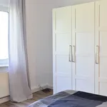 Miete 2 Schlafzimmer haus von 50 m² in Bonn