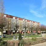 Appartement de 49 m² avec 3 chambre(s) en location à Chaumont