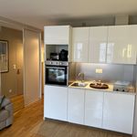 Rent 1 bedroom apartment of 32 m² in Paris