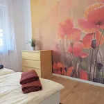 Rent 2 bedroom apartment of 45 m² in Koblenz