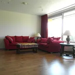 Rent 2 bedroom apartment of 103 m² in Delft