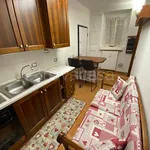 Rent 1 bedroom apartment of 30 m² in Pavia