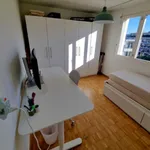 Rent 3 bedroom apartment in Thalwil