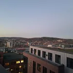 Rent 1 bedroom apartment in Sheffield