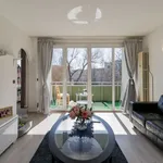 Rent 1 bedroom apartment of 581 m² in Berlin