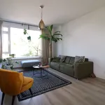 Huur 3 slaapkamer appartement van 70 m² in Noordereiland