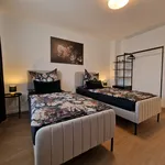 Rent 1 bedroom apartment of 45 m² in Duisburg