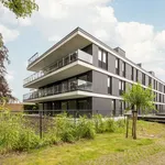 Rent 2 bedroom apartment in Boechout