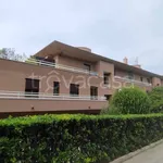 Rent 1 bedroom apartment of 42 m² in Varese