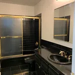 Rent 2 bedroom apartment of 133 m² in Chicago