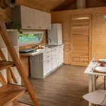 Rent 1 bedroom house of 21 m² in Hradec Králové