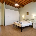 Rent 1 bedroom apartment in Florence