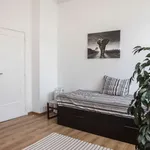 Rent a room in brussels