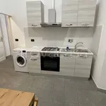 Rent 2 bedroom apartment of 48 m² in Torino