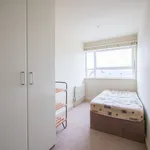 Rent 3 bedroom apartment in Hull