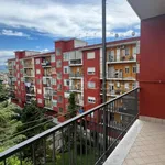 Rent 4 bedroom apartment of 110 m² in Marigliano