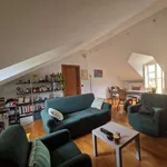 Rent 3 bedroom apartment of 80 m² in Turin