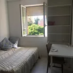 Rent 4 bedroom apartment in Madrid