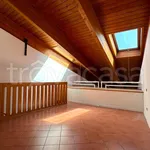 Rent 2 bedroom apartment of 50 m² in Bologna