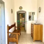 Rent 4 bedroom apartment of 80 m² in Scicli