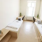 Rent 1 bedroom apartment of 15 m² in Brno